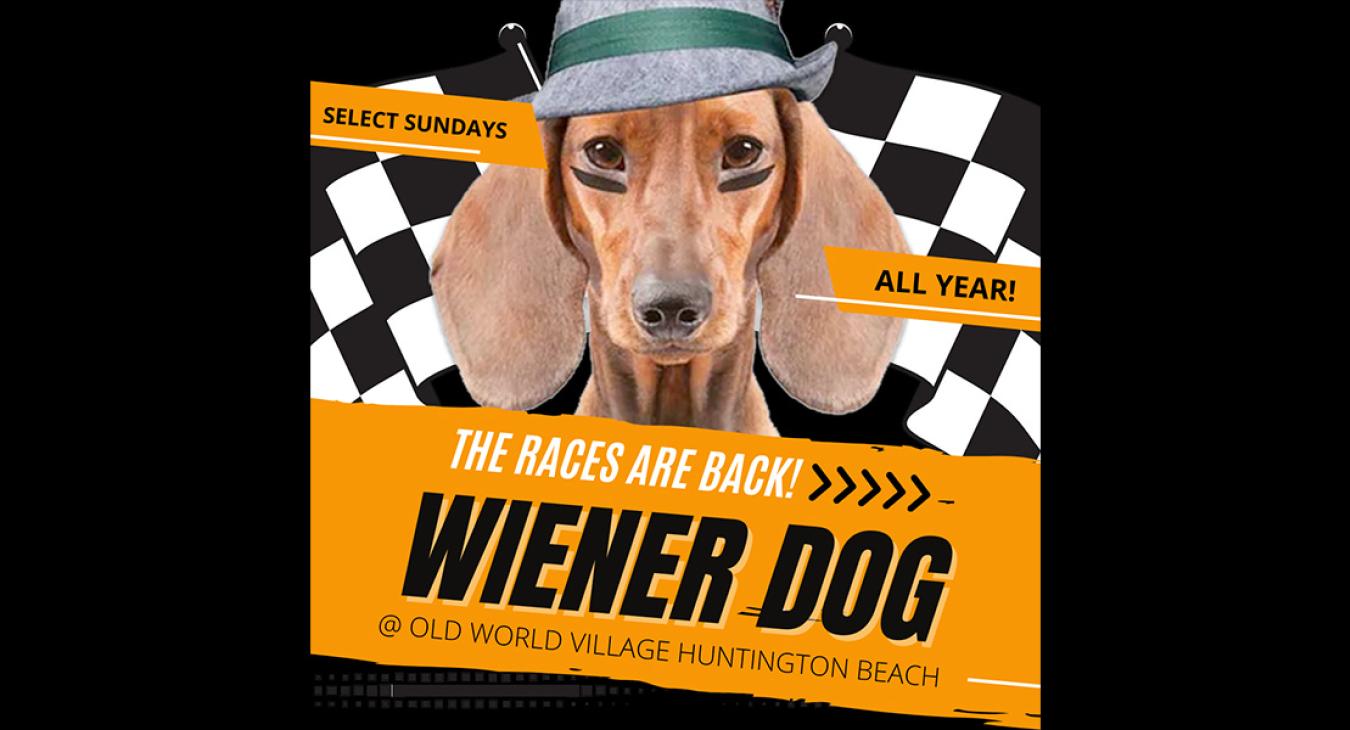 Wiener Dog Races